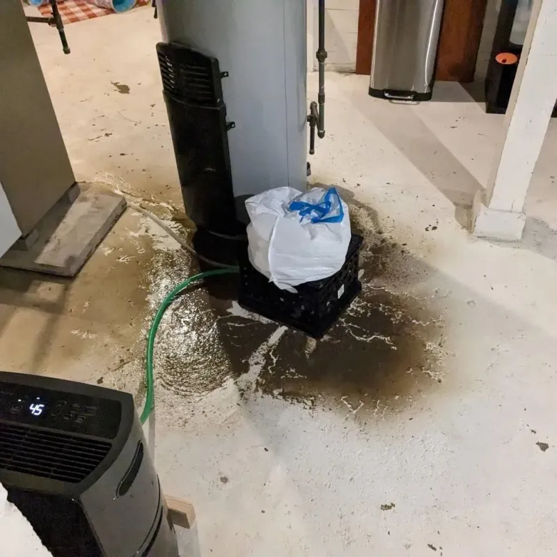 Sewage Backup Cleanup Service in Holt County, MO